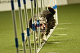 W.K. selectie hoogerheide zaterdag