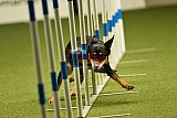 W.K. selectie hoogerheide zaterdag