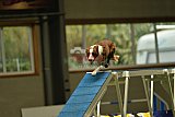 W.K. selectie hoogerheide zaterdag