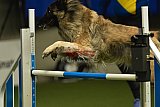 W.K. selectie wedstrijd hoogerheide zondag