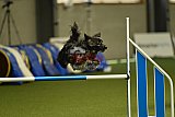 W.K. selectie wedstrijd hoogerheide zondag