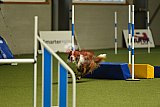 W.K. selectie wedstrijd hoogerheide zondag
