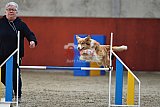 wedstrijd  Agility friends 22-11-2025