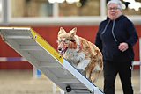 wedstrijd  Agility friends 22-11-2025