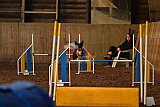 wedstrijd agility friends zaterdag