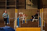 wedstrijd agility friends zaterdag