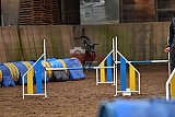wedstrijd agility friends zaterdag