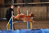 wedstrijd agility friends zaterdag