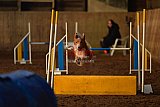 wedstrijd agility friends zaterdag