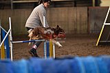 wedstrijd agility friends zaterdag