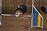 wedstrijd agility friends zaterdag
