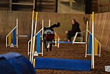 wedstrijd agility friends zaterdag