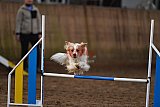 wedstrijd agility friends zaterdag