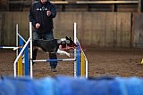 wedstrijd agility friends zaterdag