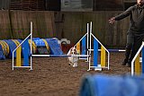 wedstrijd agility friends zaterdag
