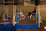 wedstrijd agility friends zaterdag