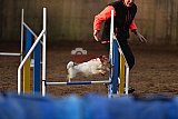 wedstrijd agility friends zaterdag