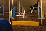 wedstrijd agility friends zaterdag