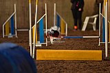 wedstrijd agility friends zaterdag