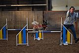 wedstrijd agility friends zaterdag