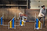 wedstrijd agility friends zaterdag