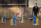 wedstrijd agility friends zaterdag