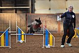 wedstrijd agility friends zaterdag
