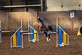 wedstrijd agility friends zaterdag