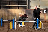 wedstrijd agility friends zaterdag