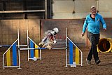 wedstrijd agility friends zaterdag