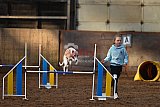 wedstrijd agility friends zaterdag