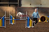 wedstrijd agility friends zaterdag