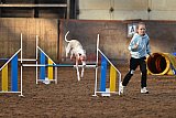 wedstrijd agility friends zaterdag