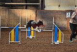 wedstrijd agility friends zaterdag