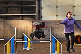 wedstrijd agility friends zaterdag