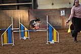 wedstrijd agility friends zaterdag