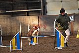 wedstrijd agility friends zaterdag