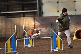 wedstrijd agility friends zaterdag