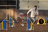 wedstrijd agility friends zaterdag