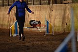 wedstrijd agility friends zaterdag