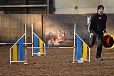 wedstrijd agility friends zaterdag
