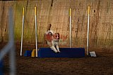 wedstrijd agility friends zaterdag