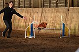 wedstrijd agility friends zaterdag