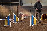 wedstrijd agility friends zaterdag