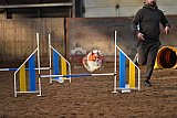 wedstrijd agility friends zaterdag