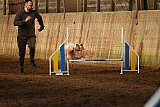 wedstrijd agility friends zaterdag