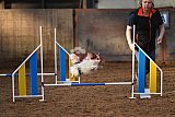 wedstrijd agility friends zaterdag
