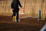 wedstrijd agility friends zaterdag