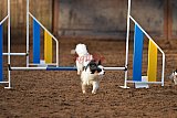 wedstrijd agility friends zaterdag