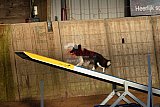 wedstrijd agility friends zaterdag